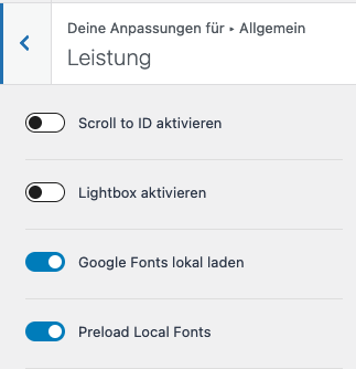 Kadence Google Fonts Einstellung